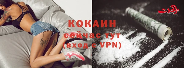 соль ск Касимов