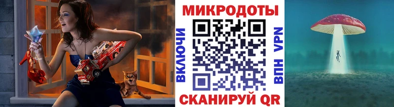 Галлюциногенные грибы Psilocybe  Купить где  Талица 